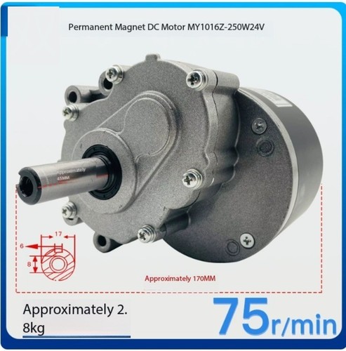 Brushed reduction motor - brushed,
