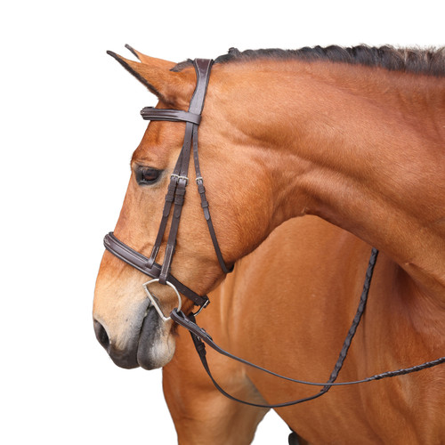 Shires avignon wellington - shires,