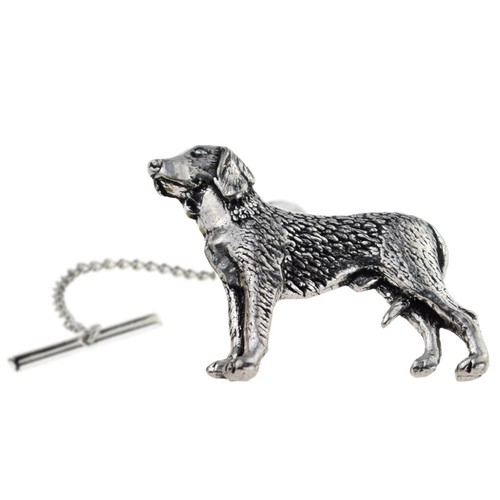 German wire haired pointer - german,