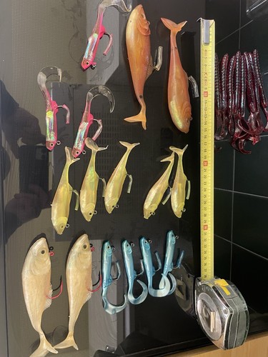 New fishing shads from - shads,
