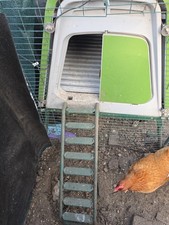 Omlet Eglu Go Up Coop  With