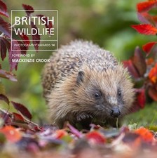 British Wildlife Photography