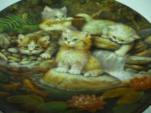 Decorative cat picture - decorative, plate