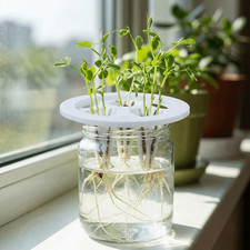 20PCS 3 Holes Hydroponic  Pots