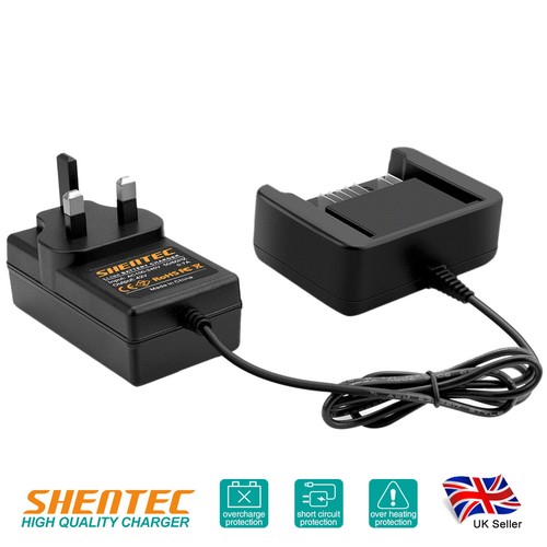 Ion charger for - charger,