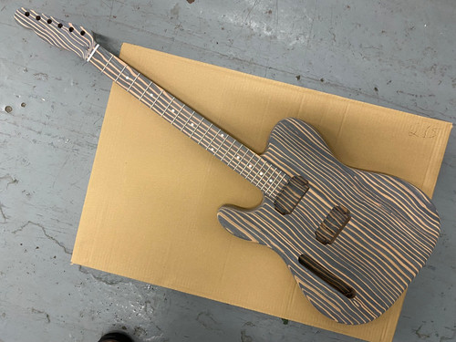 Left guitar kit zebra style - guitar,