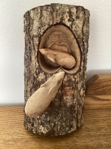 Tree trunk wood - tree, with