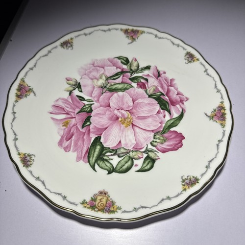 Royal albert - royal,