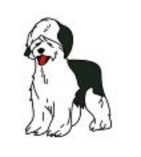 Old English Sheepdog. Paint
