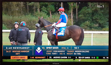 Polaroid / Vestel 40" LCD panel with  T-con board & LCD panel flat cables.