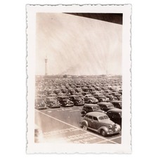 Snapshot Photo of Full 1940s