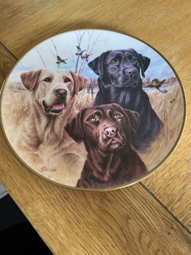 Danbury mint three labradors - 'three, labradors'