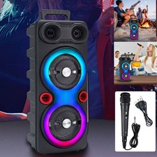 Wireless Portable Mic