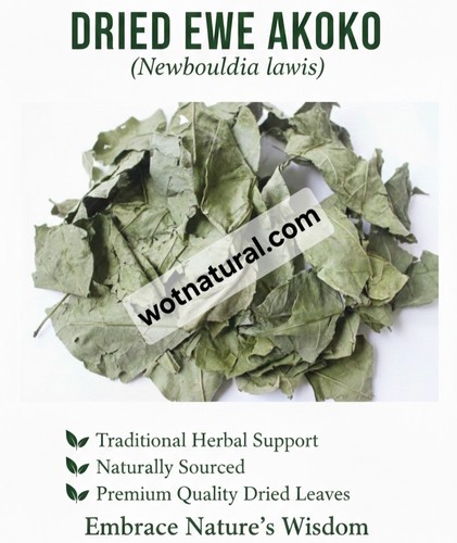 Fertility leaves dried ewe - fertility,