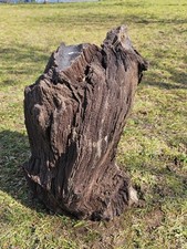 Large fossil wood quartz