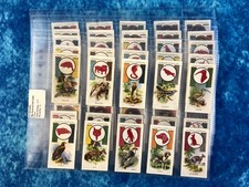 John Player's Boy Scout & Girl