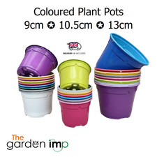 Plant Pots Plastic 9cm 10.5cm