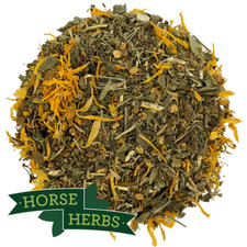 Horse Herbs Healthy Veteran