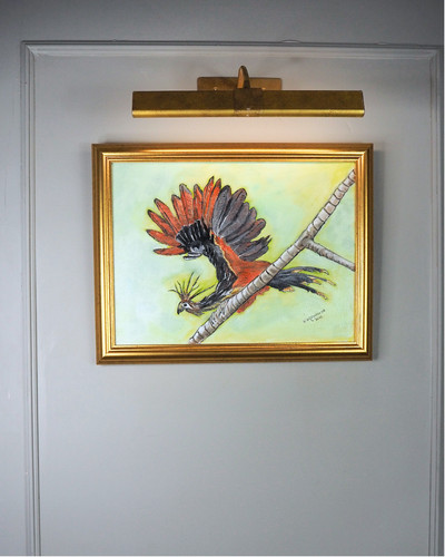 Freedom wildlife original - wildlife,