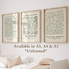 Set of 3 Matisse William