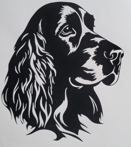 English spaniel cocker - spaniel,