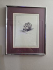 Ralph THOMPSON,  LITTLE