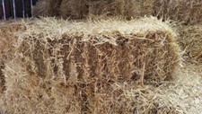 Fleet Farm CA0003 Barley Straw Bale - 18kg