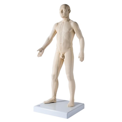 Scientific n30 acupuncture - n30,