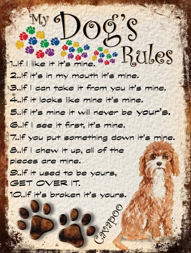 Dog rules retro - my, dog's