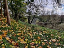 Photo 6x4 River bank along the River Severn Coalbrookdale  c2021