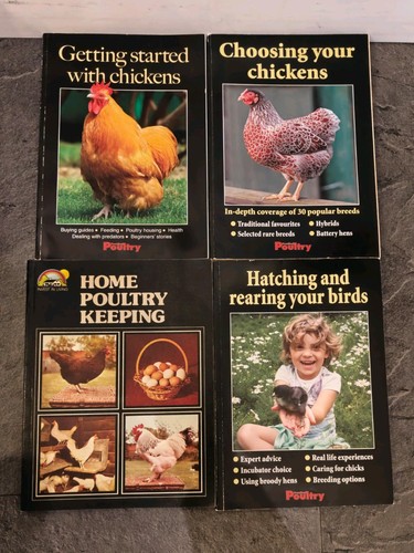 Practical poultry book - poultry,