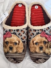 Pavers Cavalier King Charles