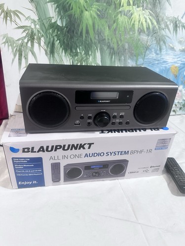 Blaupunkt all one audio - blaupunkt, in