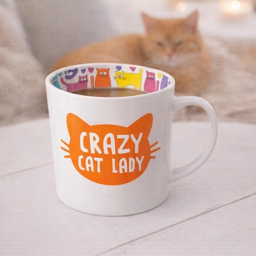 Crazy cat lady novelty - crazy,
