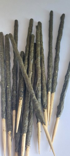 12x shrimp lollies - shrimp, sticks