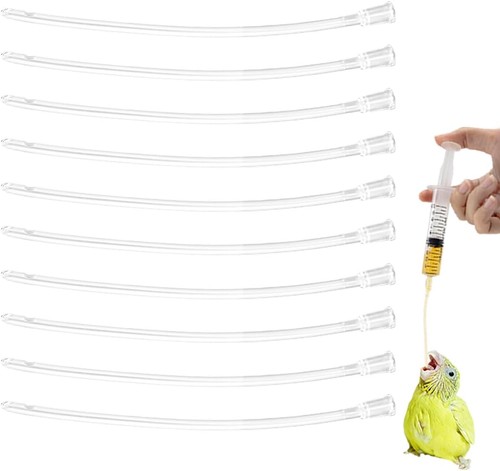 Pcs baby bird - 10, feeding