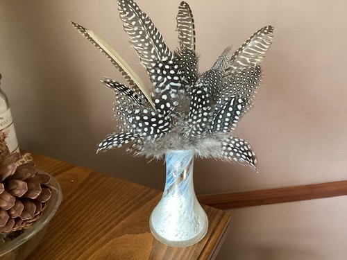 Guinea fowl feathers - ,