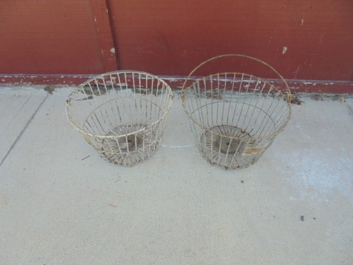 Rusty metal wire eggs - rusty,