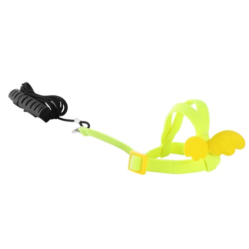 Bird training traction - bird,