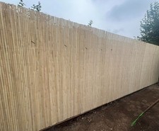 Bamboo garden screening - 4m,