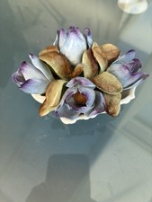 Royal Adderley Manitoba Bone