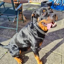 Heavy Duty Double Thickness