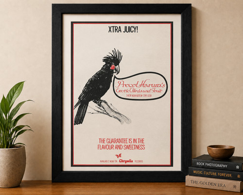 Procol harum exotic birds - procol, and