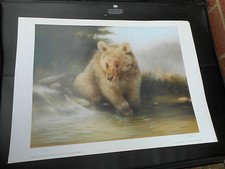 JOEL KIRK LARGE LIMITED EDITION PRINT GOLDEN GRIZZILY BEAR VGC LOW POST 