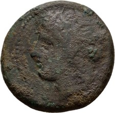 Sicily Akragas Phintias Boar