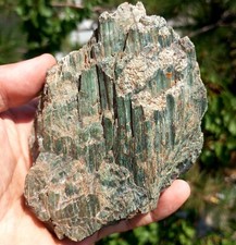 Beautiful Catedral Platy