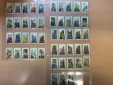 Cigarette cards  GALLAHER WILD