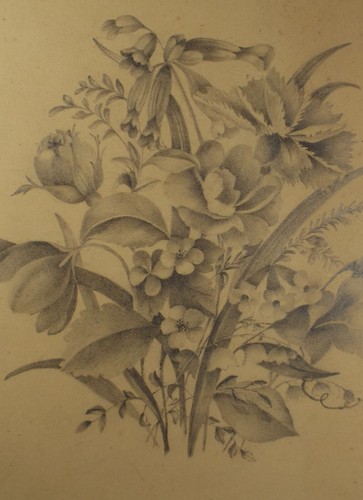 Original pencil drawing