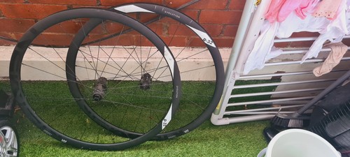 Newman evolution sl - newman,