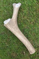 Red Deer Antler Natural Dog